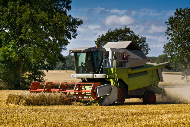 Combine harvester