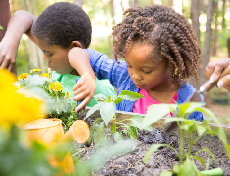 Photo of a girl and boy gardening